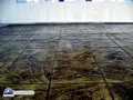 Tsawwassen Stamp Concrete Sample