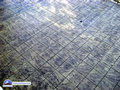 Tsawwassen Stamp Concrete Sample