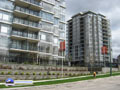 Coquitlam Landscaping Sample